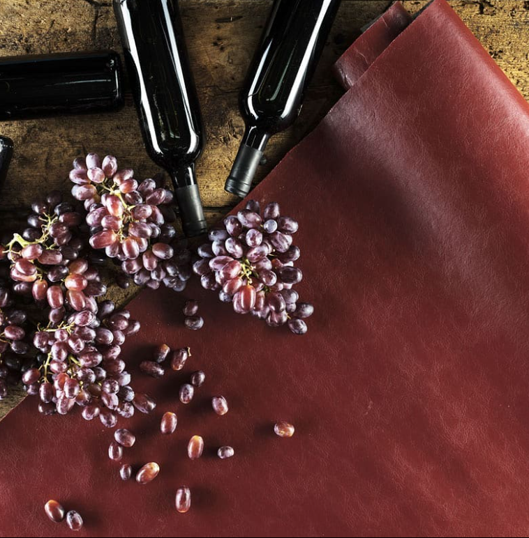 Marc de raisin origine matière végétale